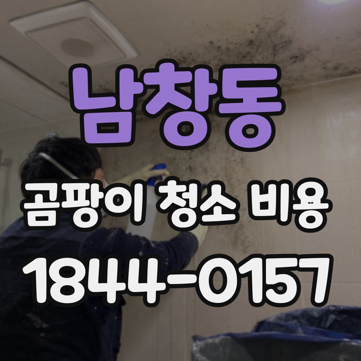남창동 곰팡이 청소 비용