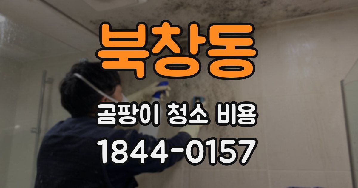 북창동 곰팡이 청소 비용