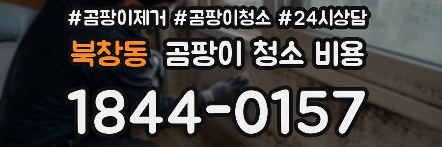 북창동 곰팡이 청소 비용