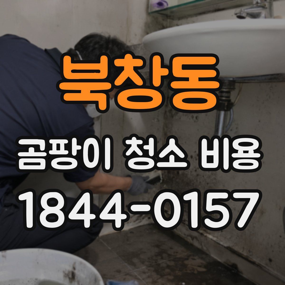 북창동 곰팡이 청소 비용