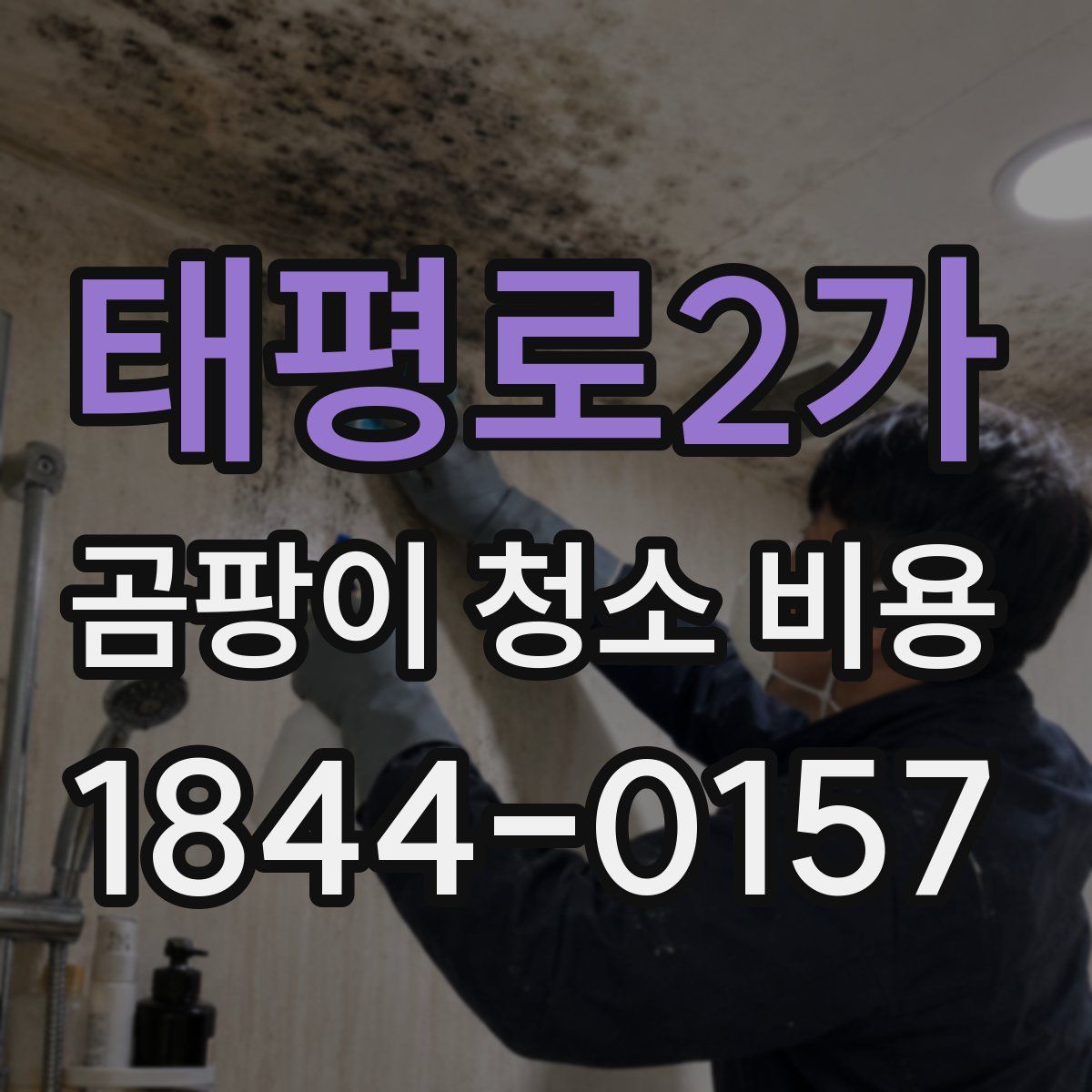 태평로2가 곰팡이 청소 비용