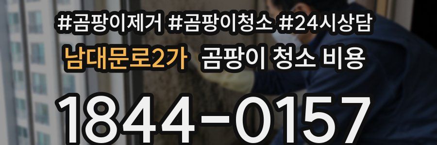 남대문로2가 곰팡이 청소 비용