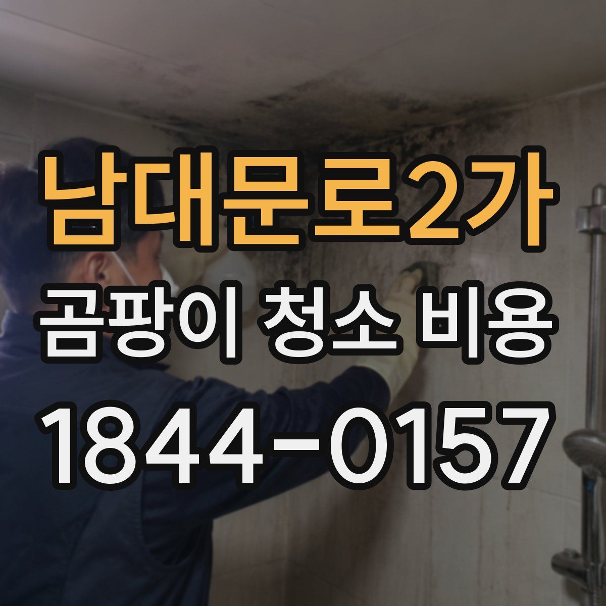 남대문로2가 곰팡이 청소 비용