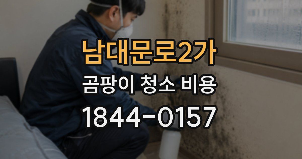 남대문로2가 곰팡이 청소 비용