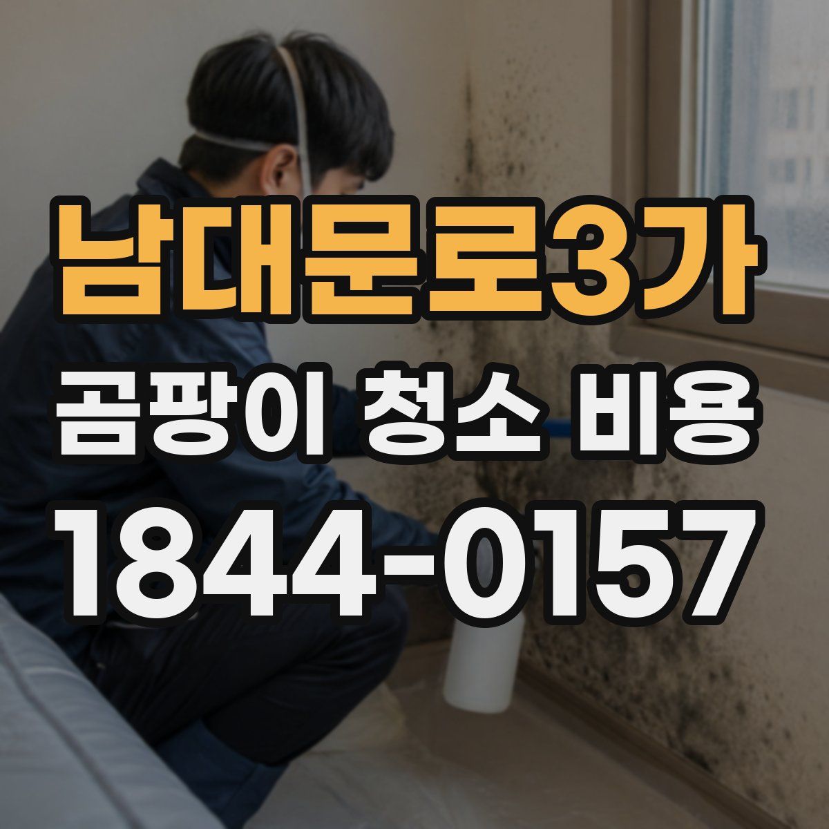 남대문로3가 곰팡이 청소 비용