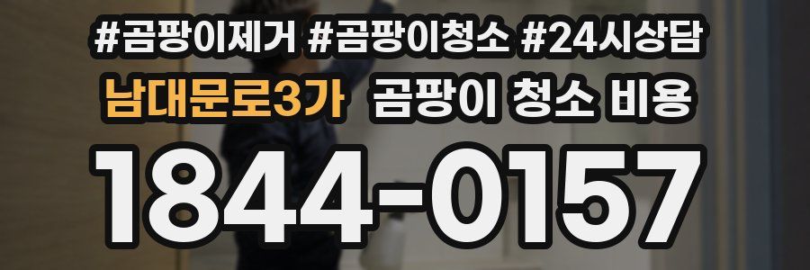 남대문로3가 곰팡이 청소 비용