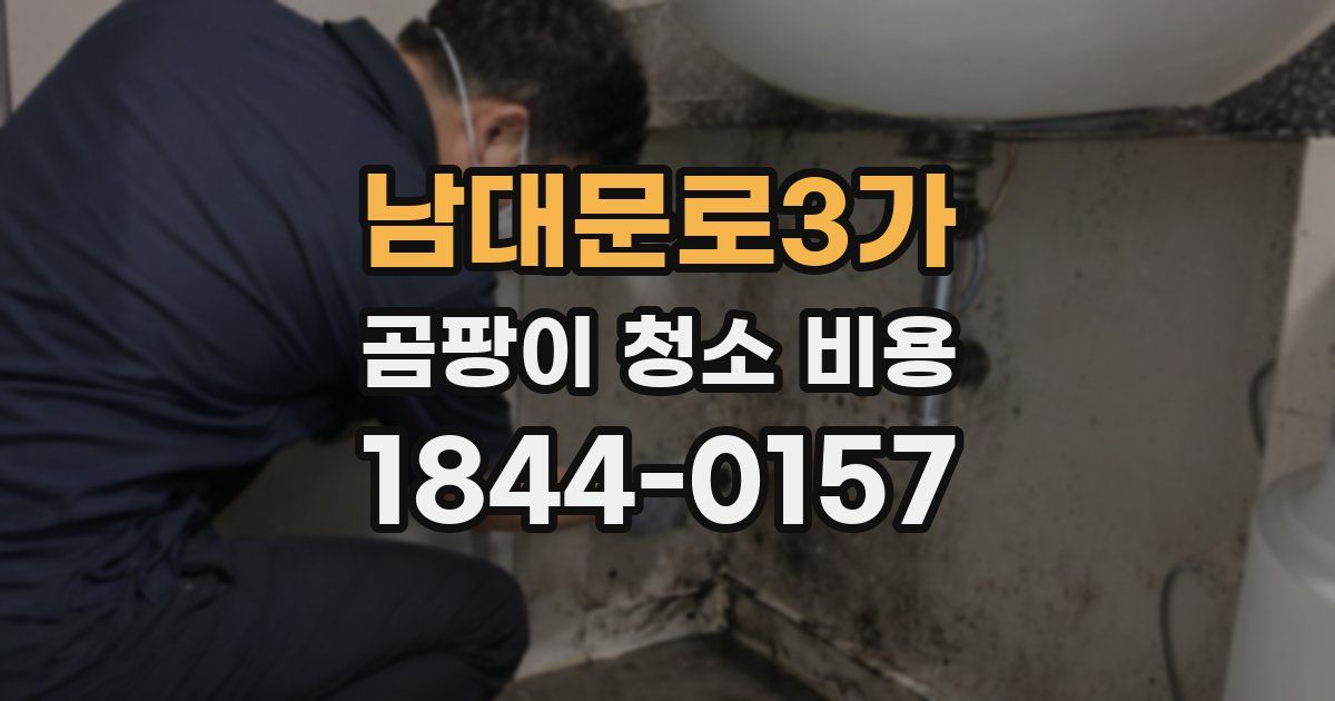 남대문로3가 곰팡이 청소 비용
