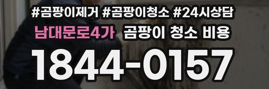 남대문로4가 곰팡이 청소 비용