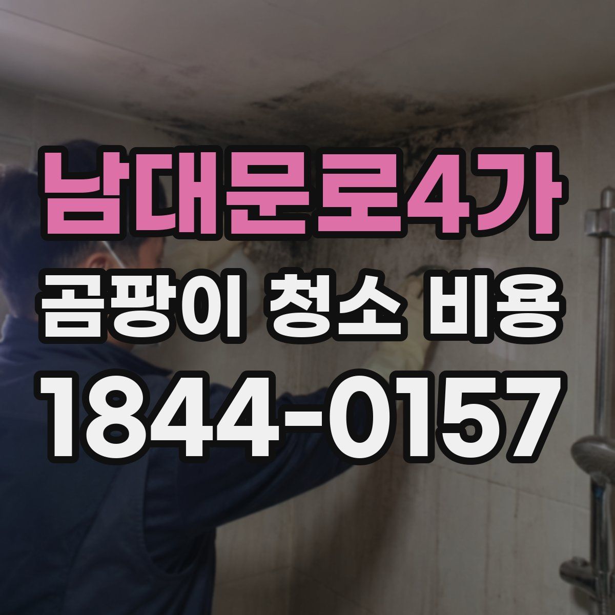 남대문로4가 곰팡이 청소 비용