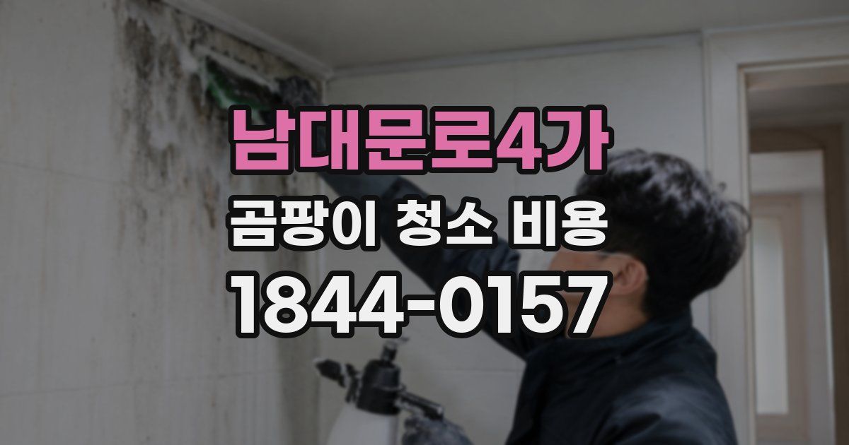 남대문로4가 곰팡이 청소 비용