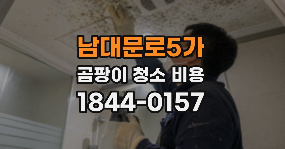 남대문로5가 곰팡이 청소 비용