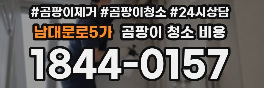 남대문로5가 곰팡이 청소 비용
