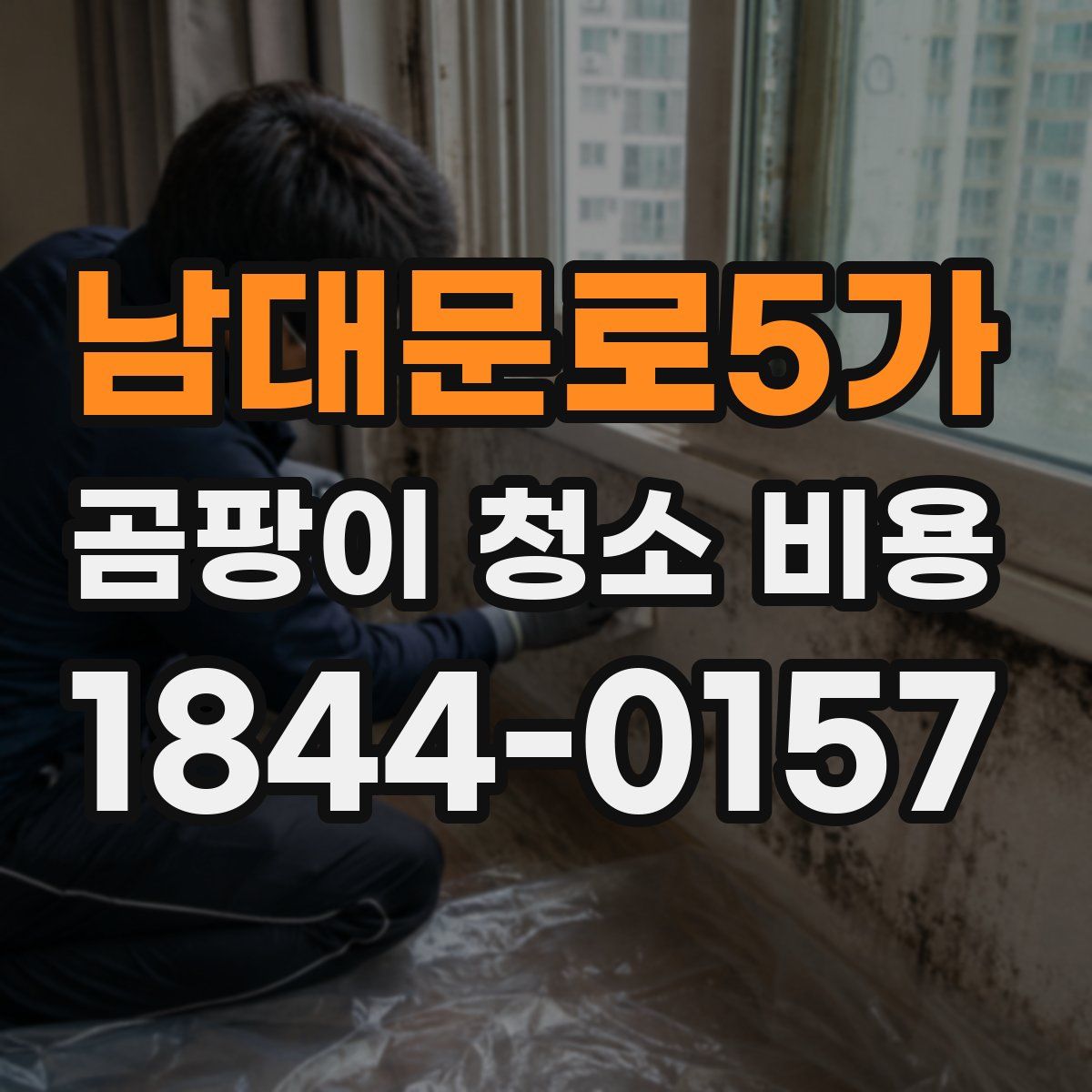 남대문로5가 곰팡이 청소 비용