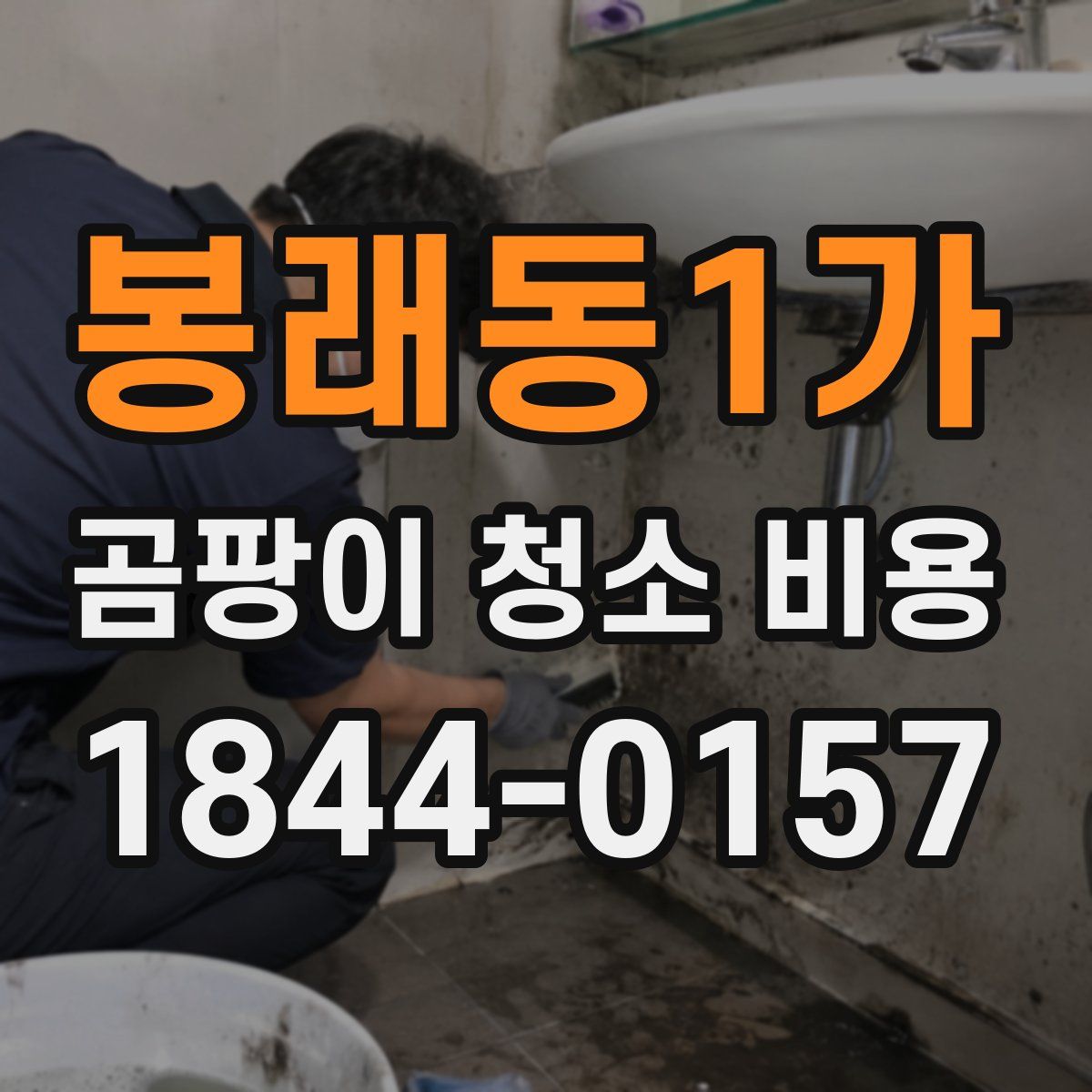 봉래동1가 곰팡이 청소 비용