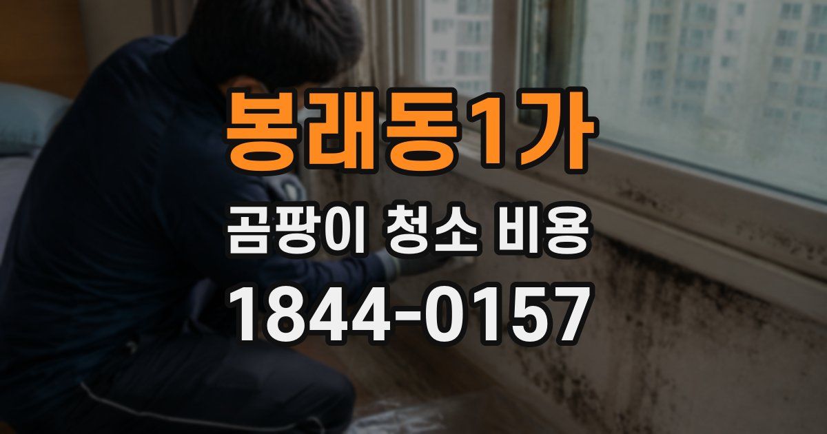 봉래동1가 곰팡이 청소 비용
