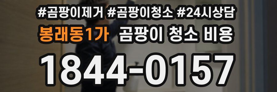봉래동1가 곰팡이 청소 비용