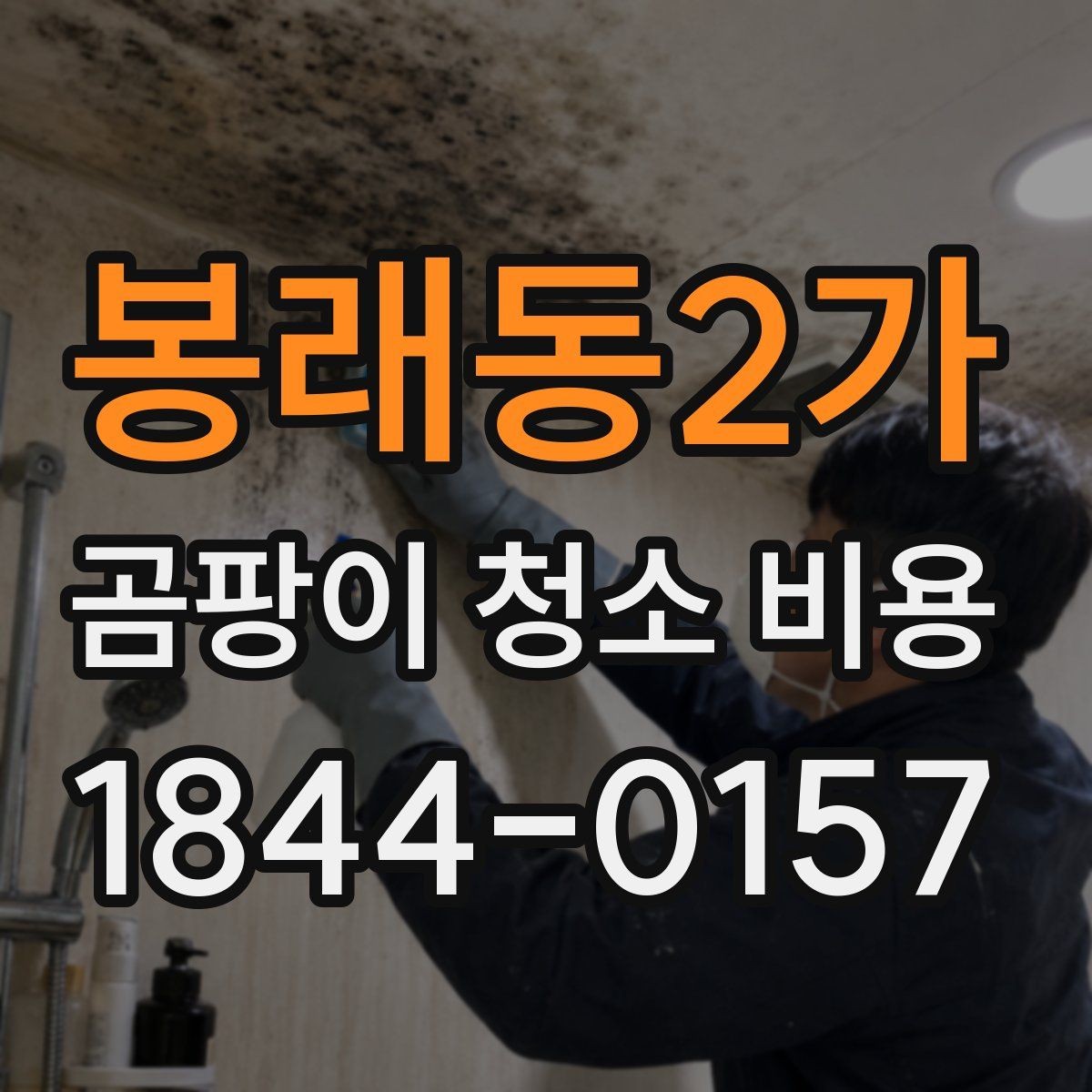 봉래동2가 곰팡이 청소 비용 벽지와 실리콘 중 어떤 곳이 더 빨리 번질까