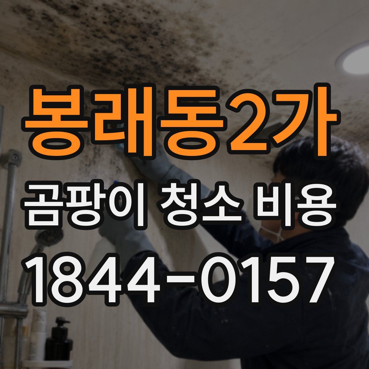 봉래동2가 곰팡이 청소 비용