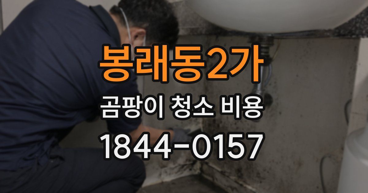 봉래동2가 곰팡이 청소 비용