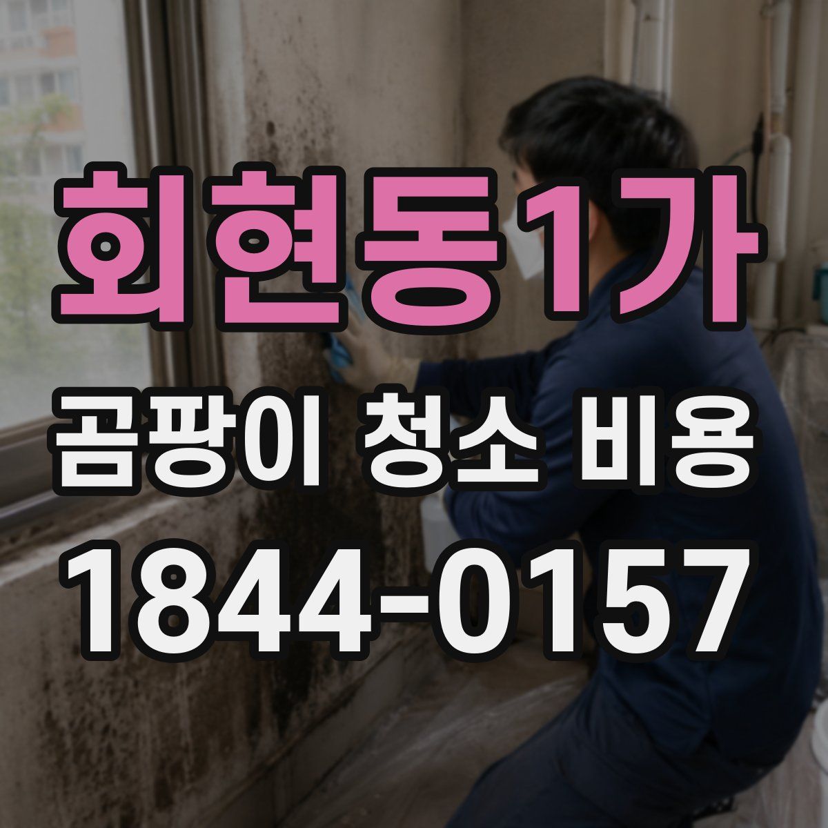 회현동1가 곰팡이 청소 비용