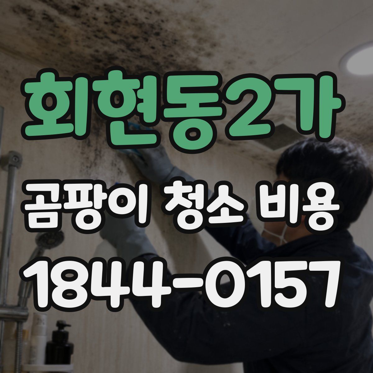 회현동2가 곰팡이 청소 비용