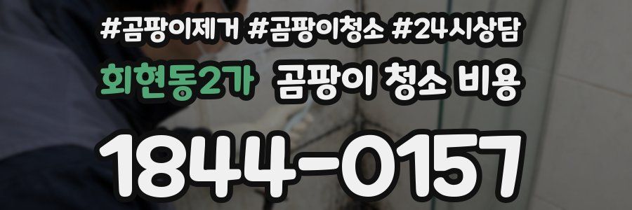 회현동2가 곰팡이 청소 비용