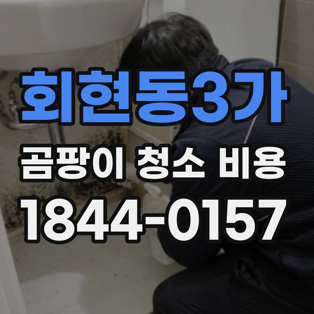 회현동3가 곰팡이 청소 비용