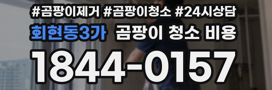 회현동3가 곰팡이 청소 비용