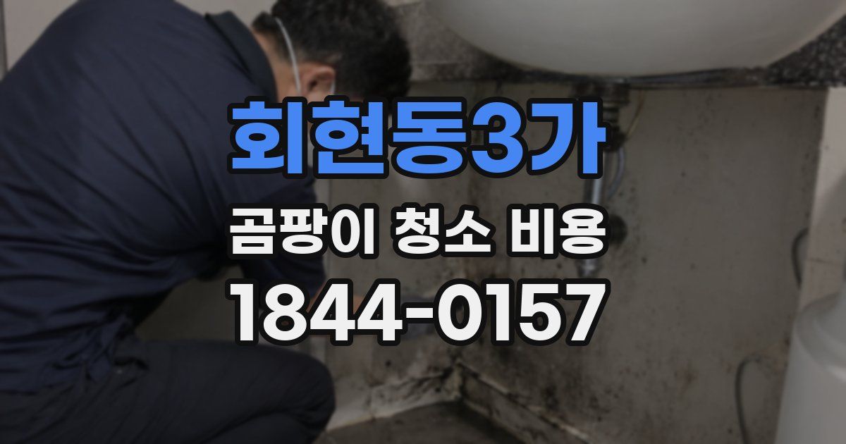 회현동3가 곰팡이 청소 비용