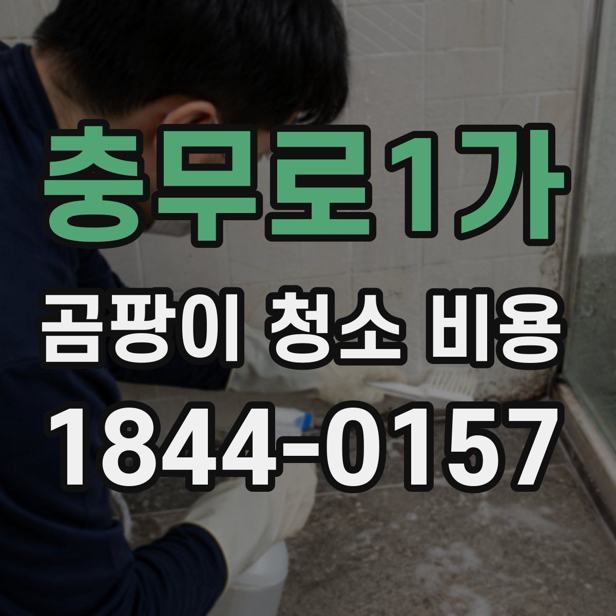 충무로1가 곰팡이 청소 비용