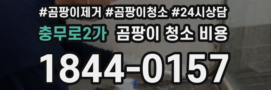 충무로2가 곰팡이 청소 비용