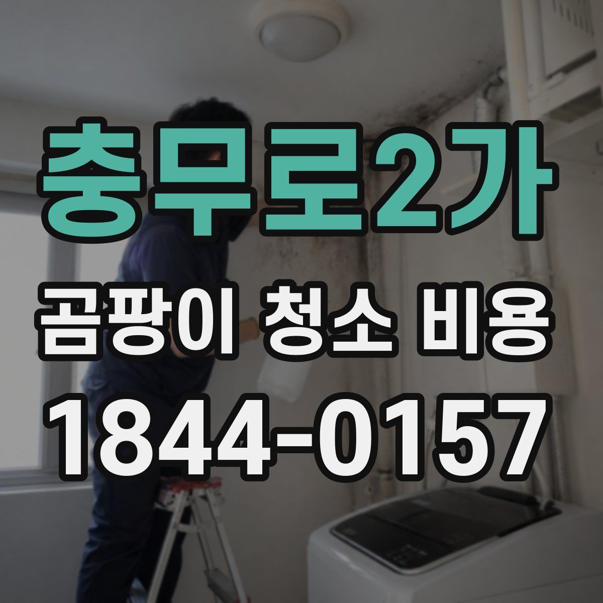 충무로2가 곰팡이 청소 비용