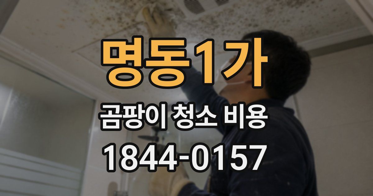 명동1가 곰팡이 청소 비용