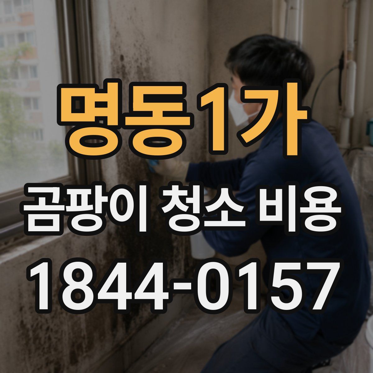 명동1가 곰팡이 청소 비용