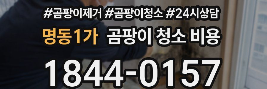 명동1가 곰팡이 청소 비용