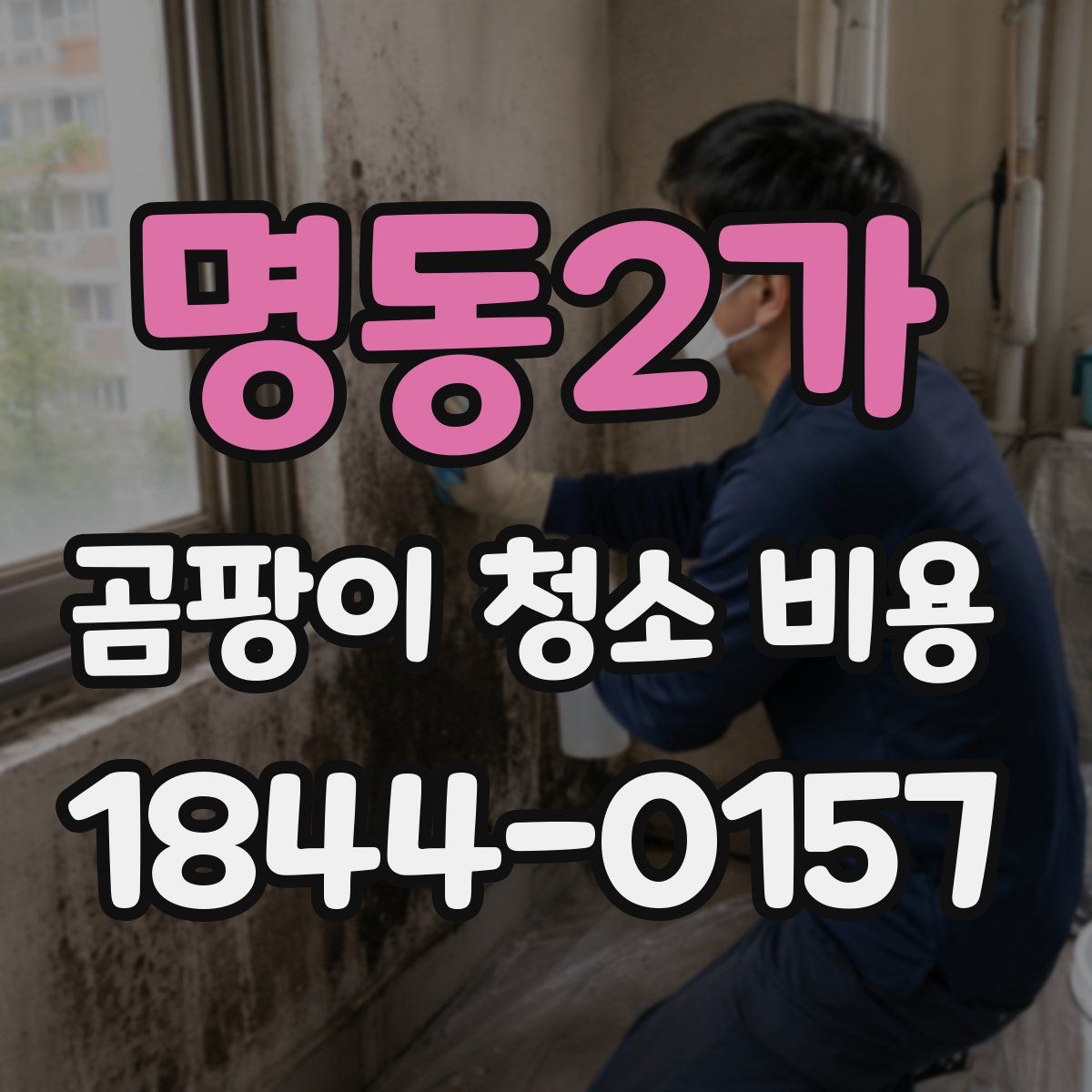 명동2가 곰팡이 청소 비용