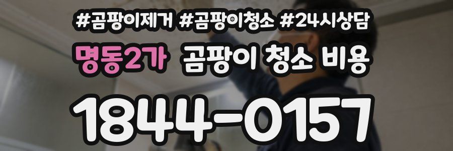 명동2가 곰팡이 청소 비용