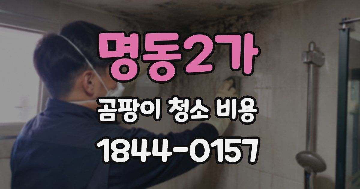 명동2가 곰팡이 청소 비용