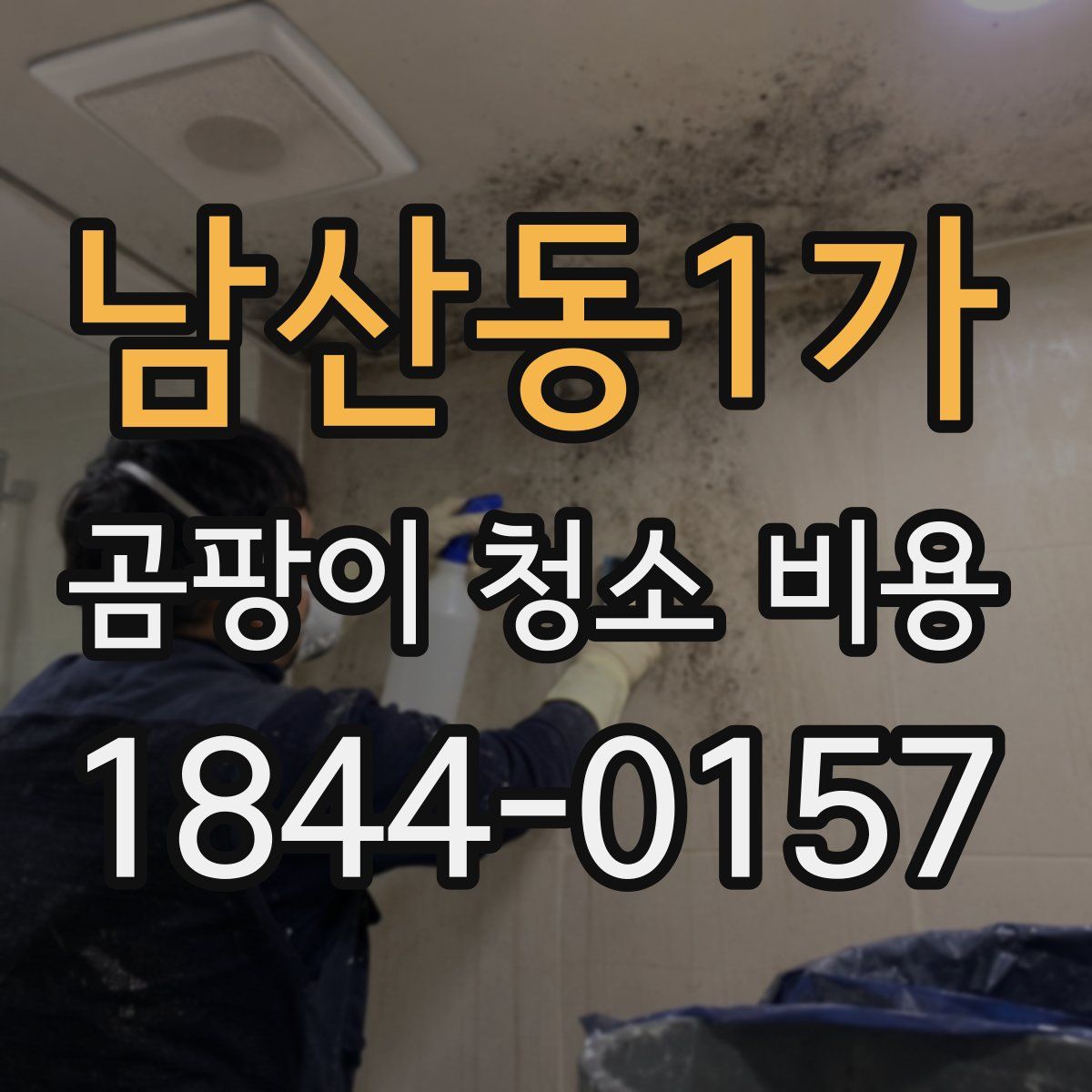 남산동1가 곰팡이 청소 비용