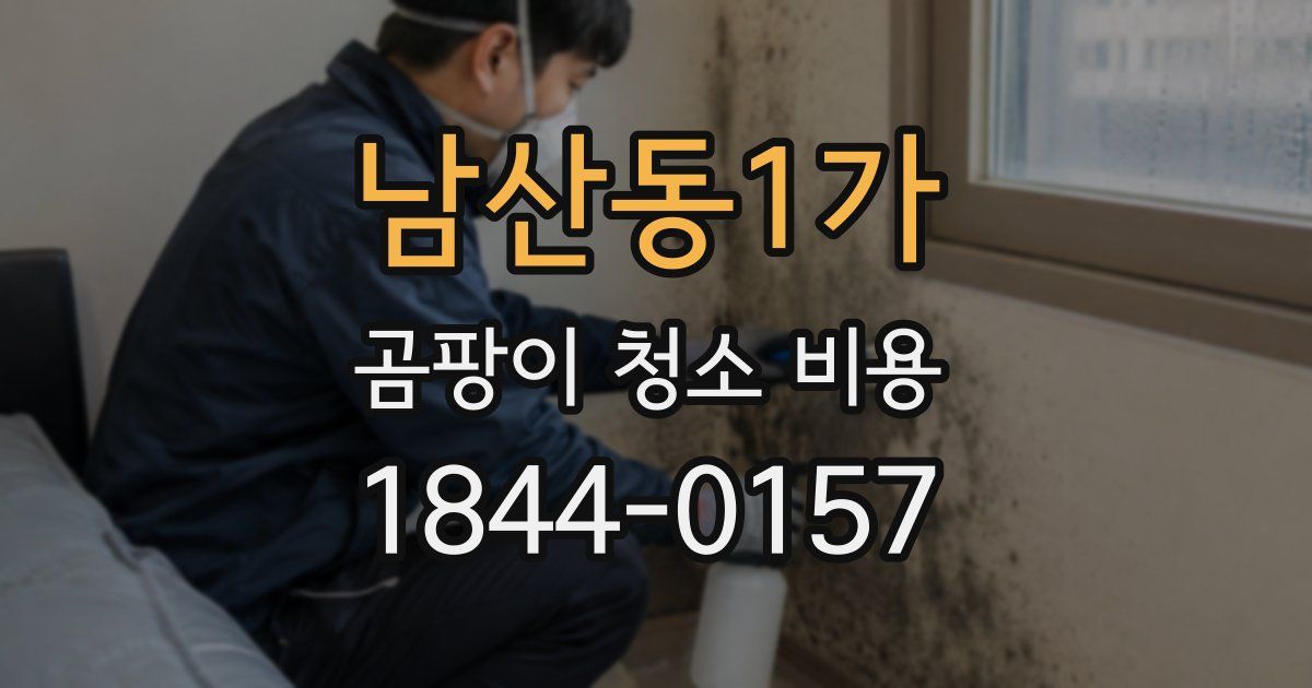 남산동1가 곰팡이 청소 비용