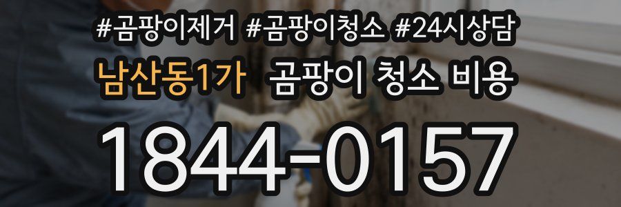 남산동1가 곰팡이 청소 비용