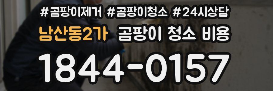 남산동2가 곰팡이 청소 비용