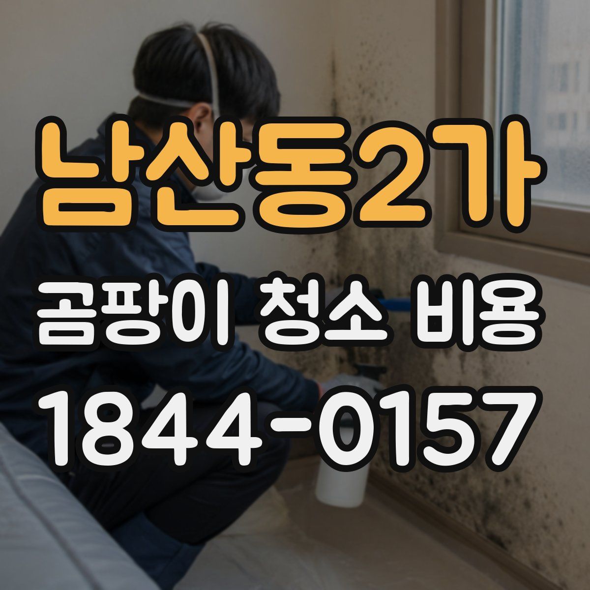 남산동2가 곰팡이 청소 비용