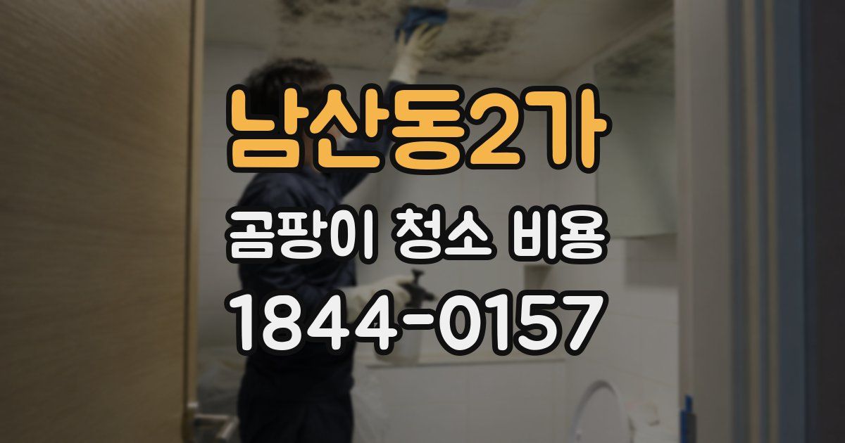 남산동2가 곰팡이 청소 비용