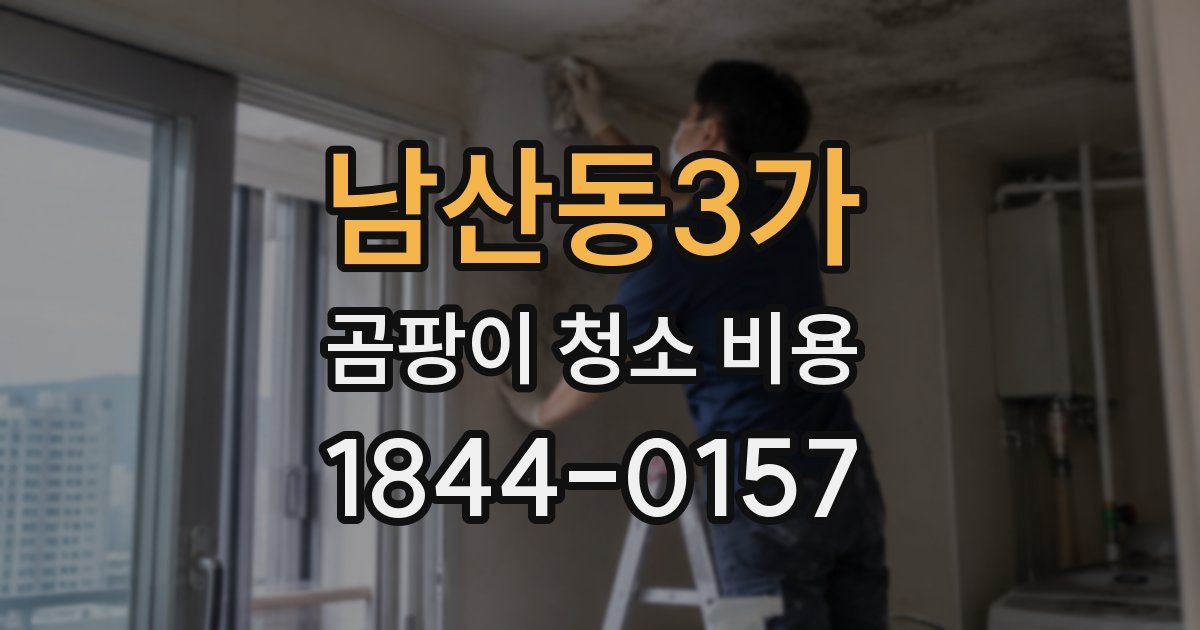 남산동3가 곰팡이 청소 비용