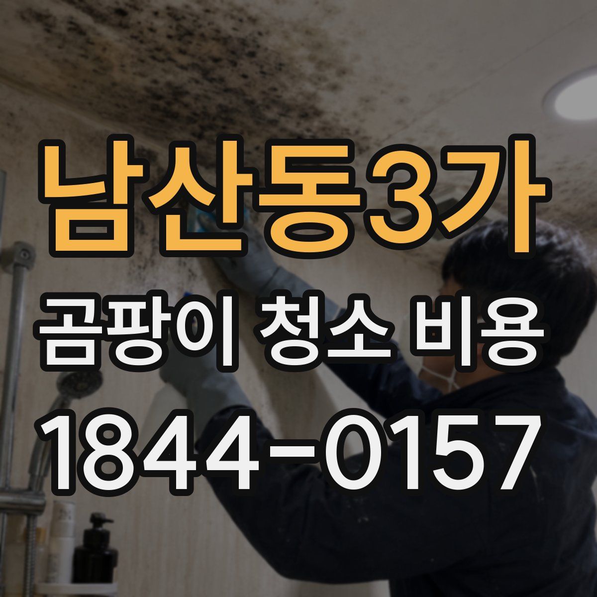 남산동3가 곰팡이 청소 비용