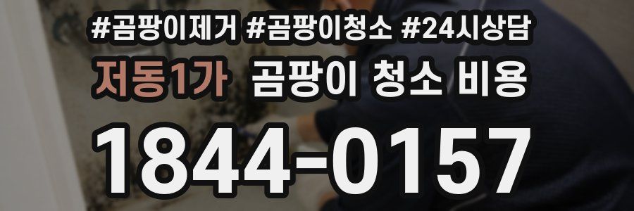 저동1가 곰팡이 청소 비용