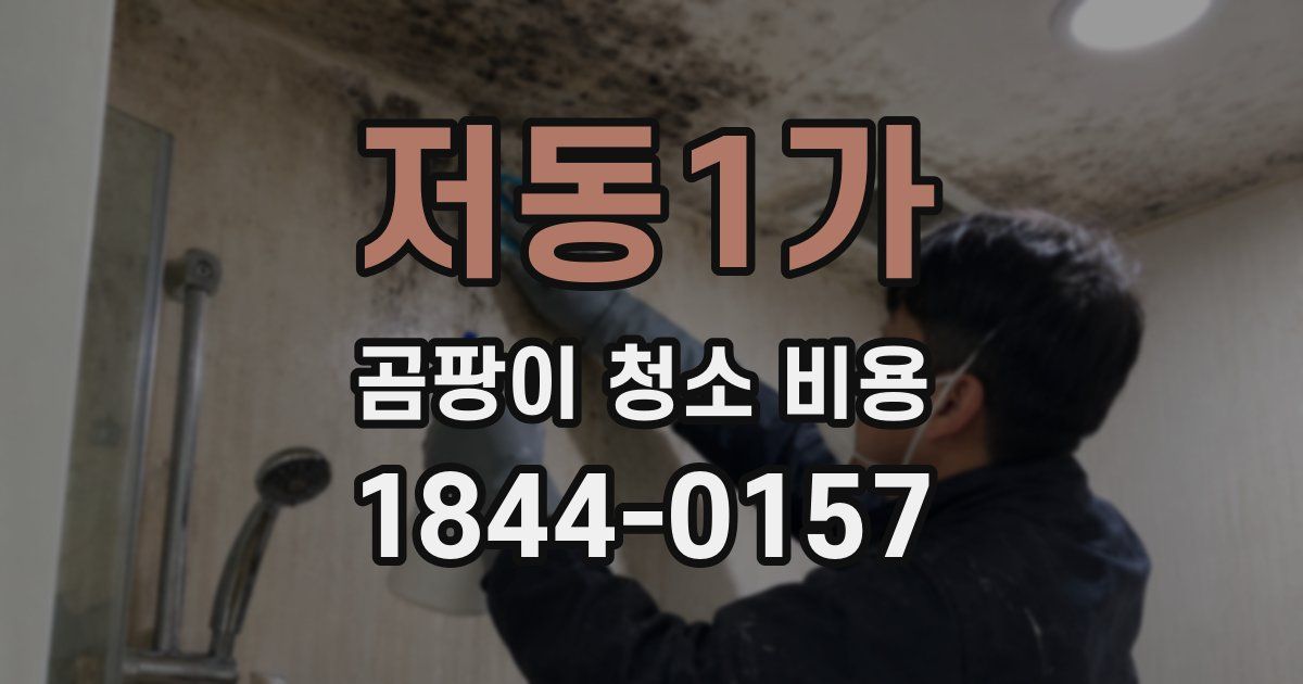 저동1가 곰팡이 청소 비용