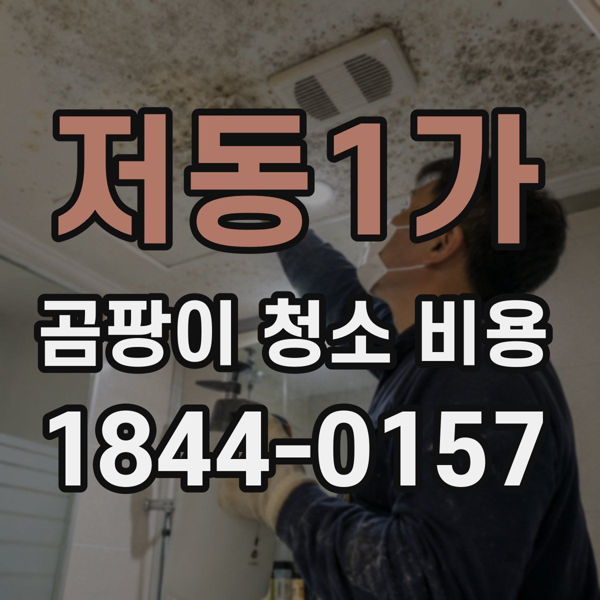저동1가 곰팡이 청소 비용
