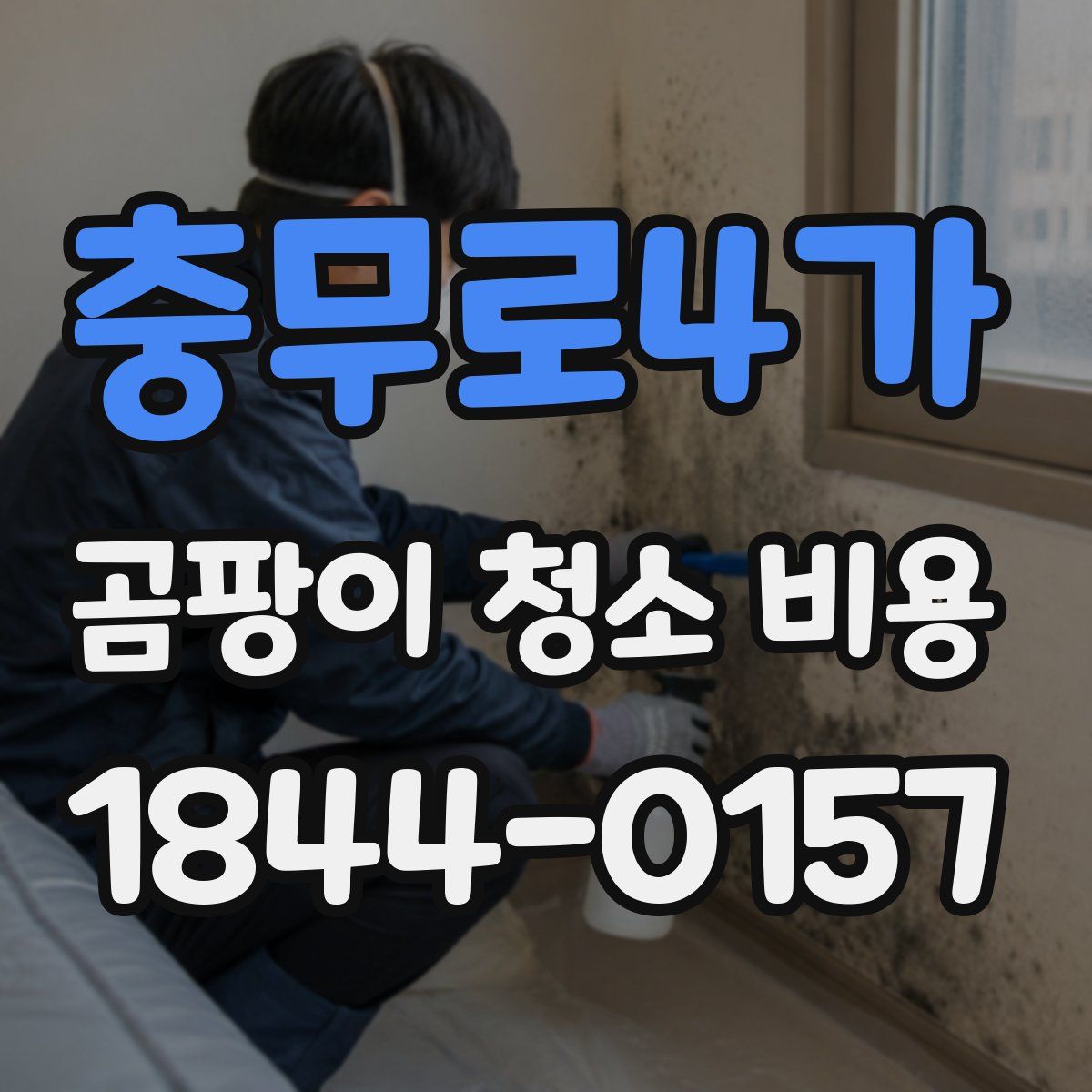 충무로4가 곰팡이 청소 비용